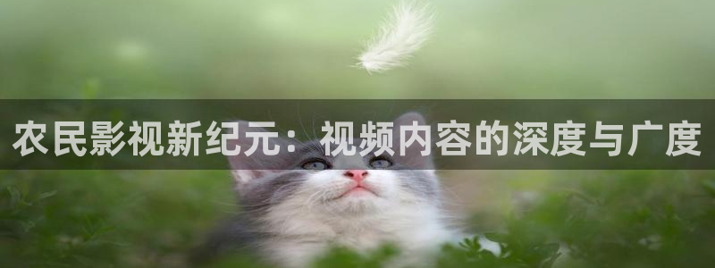 草民电影网免费观看电视剧连续剧