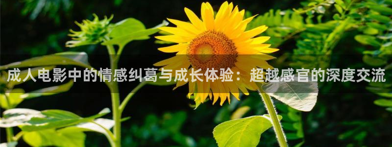 草民电视网