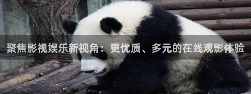 福利影院草民影院：聚焦影视娱乐新视角：更优质、多元的在线观影体验