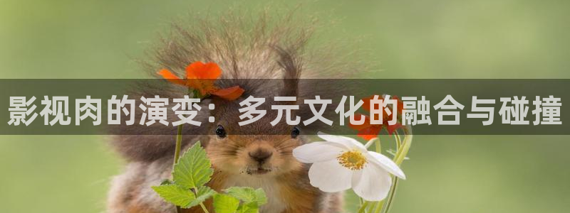 看一天影院草民电影网宅急：影视肉的演变：多元文化的融合与碰撞